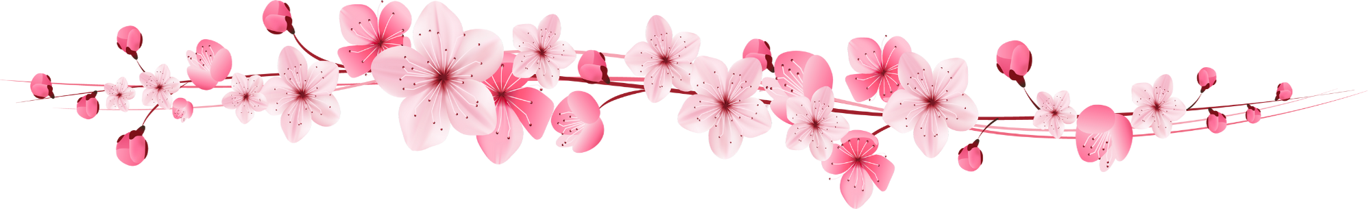 Linha floral decorativa